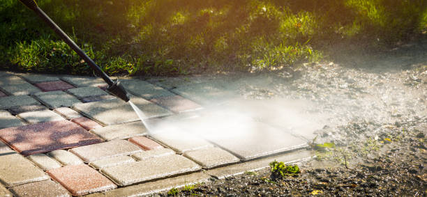 Best Fence Cleaning and Maintenance in Fort Dix, NJ
